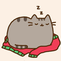  <b>Мирный</b> сон кошки 