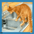 Рыжий полосатый кот пьёт воду из крана