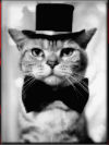  Кот в цилиндре и с галстуком-<b>бабочкой</b> 