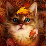  <b>Рыжий</b> кот сидит на траве с листьями клена на голове 