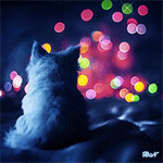  Белый кот сидит на <b>кровати</b> и смотрит на сверкающие огни в... 