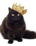  <b>Черный</b> кот в золотой короне 