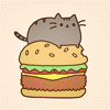 Кот сидит на огромном гамбургере
