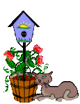Серый кот сидит рядом с цветами и скворечником