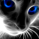  <b>Кот</b> с синими глазами 