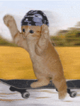 Котик на скейте
