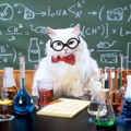  <b>Кот</b> - химик 