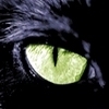 Зелёный глаз чёрной кошки