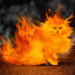 <b>Огненная</b> кошка 