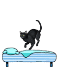 Кошка прыгает на кроватке