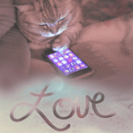 Кот водит лапой по сенсорному экрану телефона (love)