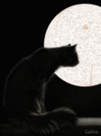  Чёрная кошка на <b>фоне</b> луны 
