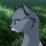  <b>Серая</b> кошка с голубыми глазами в профиль на фоне кустов 