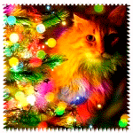 Кошка возле <b>наряженной</b> новогодней елки 