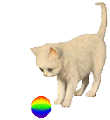 Котёнок играет с мячиком радужного окраса