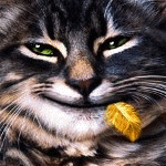  Серый кот с желтым перышком в зубах плотоядно <b>улыбается</b> 