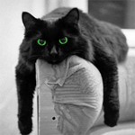  Черная <b>кошка</b> с горящими зелеными глазами 