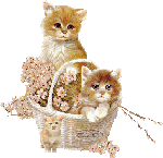 Кот и <b>кошка</b> в корзине с цветами 