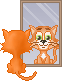 Март. Рыжий кот смотрится в зеркало