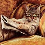  Полосатый <b>кот</b> в очках читает газету лёжа на диване 
