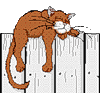  <b>Кот</b> спит на заборе 