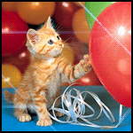Котенок и воздушные шарики