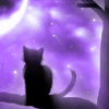  Черная кошка сидит на ветке под луной , <b>by</b> rigbarddan 