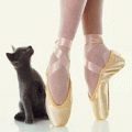 Кот смотрит на балерину