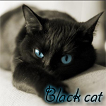  Чёрная <b>кошка</b> с горящими глазами black cat 