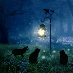  Черные кошки собрались у фонаря <b>ночью</b> 