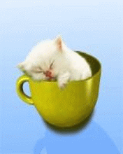  Котенок уснул в чайной <b>чашке</b> 