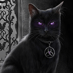 Черная кошка с фиолетовыми глазами и амулетом на шее