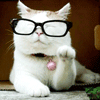 Белый кот снимает с мордочки очки