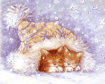 Две котёнка спрятались от снега под шапкой