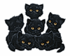 Шесть черных кошек