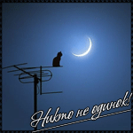  Кот сидит на антене, и <b>смотрит</b> на луну (никто не одинок!) 