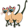 Коты. Сиамские близнецы