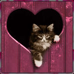  <b>Котик</b> в вырезе двери в виде сердечка 