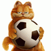 Рыжий котик с футбольным мячиком