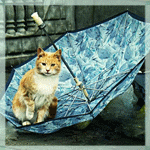  <b>Кот</b> с зонтом 