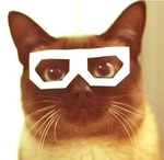 Сиамская кошка в белых квадратных очках