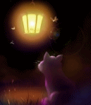 Котёнок смотрит на фонарик