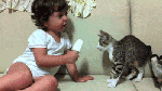 Ребенок делится мороженым с котенком