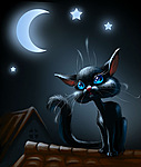 Черная кошка-очаровашка ночью на крыше под луной