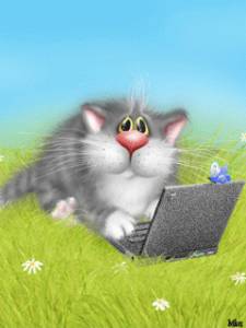 Кот с компьютером на лужайке