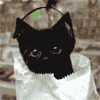  Чёрный котёнок в наушниках сидит в <b>пакете</b> 