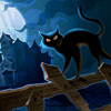  <b>Чёрная</b> кошка на заборе около старого дома ночью 