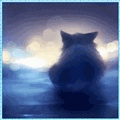 Котёнок смотрит на ночные огни