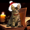  <b>Рождественский</b> котёнок 
