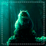  Кот сидит в темном загадочном <b>лесу</b> 
